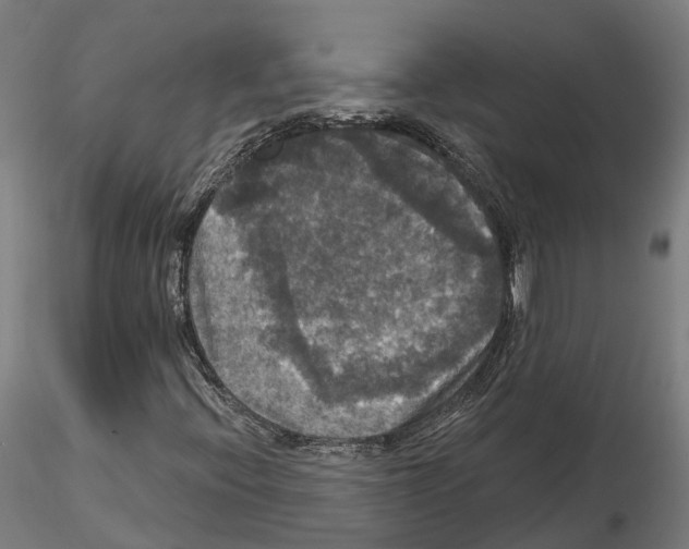 X0000114721396200912021143