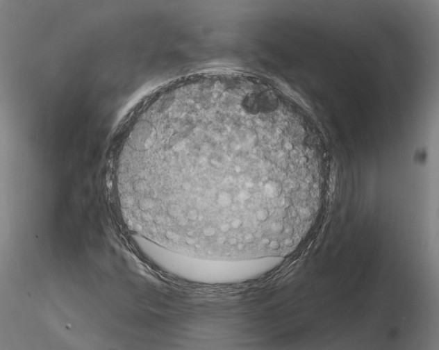 X0000114721400200912021143