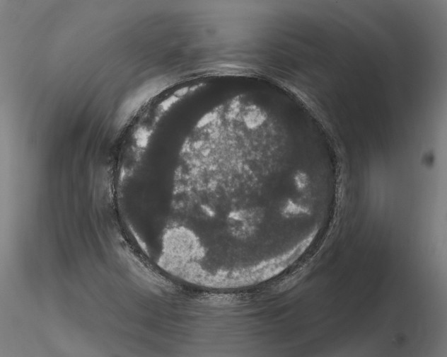 X0000114721402200912021143