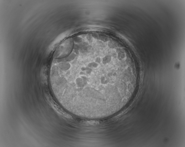 X0000114721403200912021143