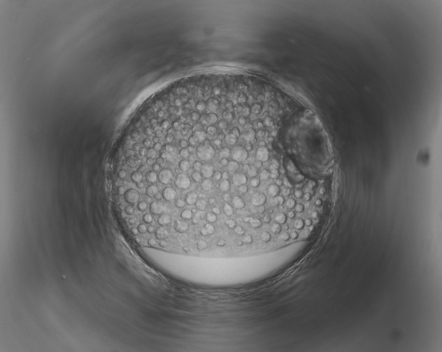 X0000114721404200912021143