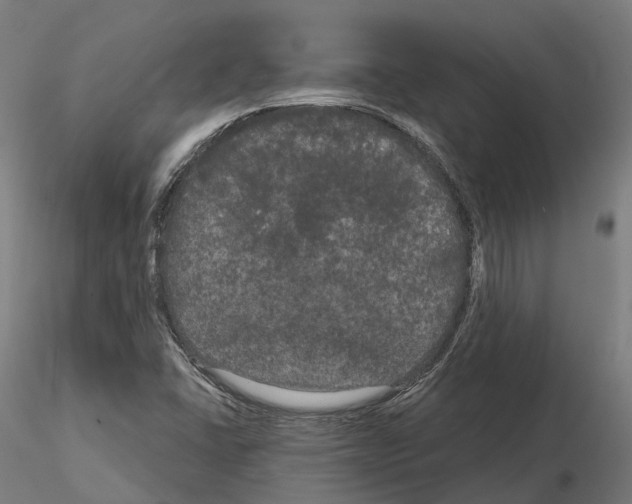 X0000114721406200912021143