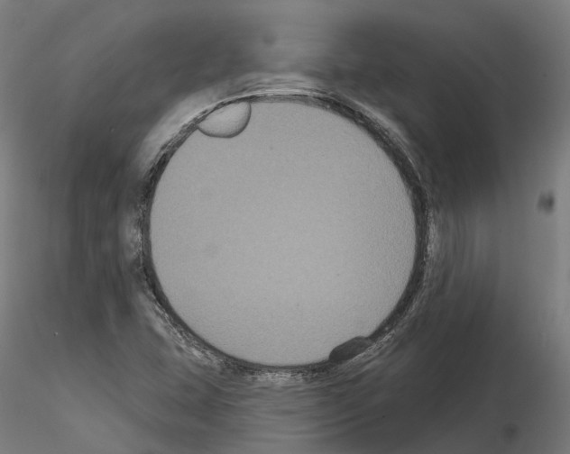 X0000114721407200912021143