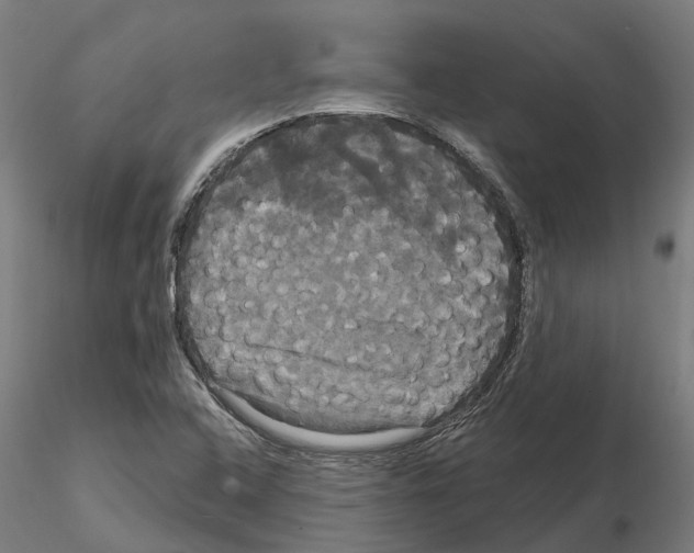 X0000114721408200912021143