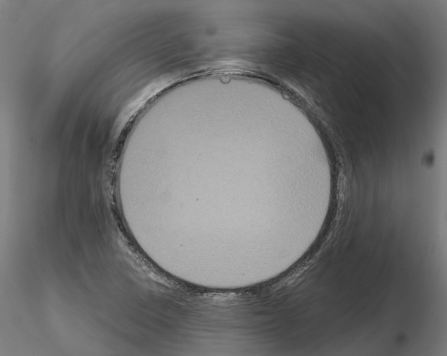 X0000114721410200912021143