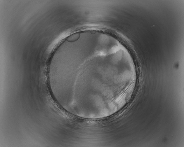 X0000114721411200912021143