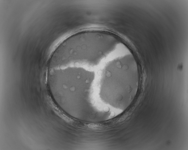 X0000114721413200912021143