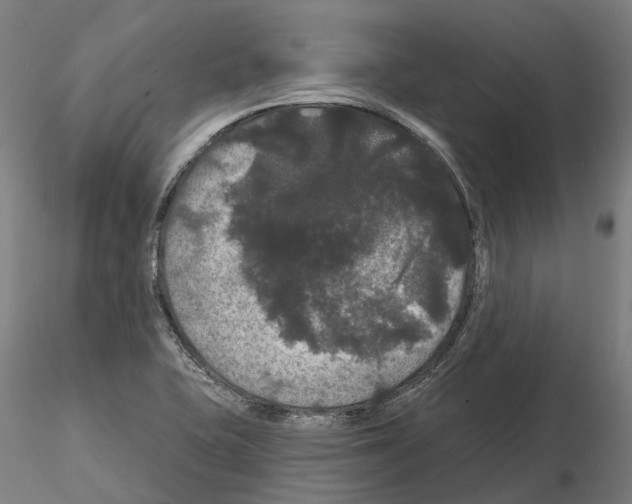 X0000114721415200912021143