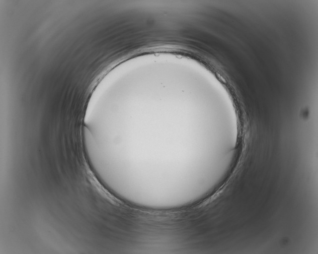 X0000114721417200912021143