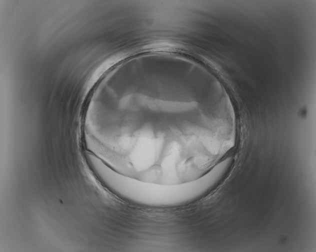 X0000114721418200912021144