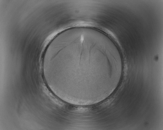 X0000114721419200912021144