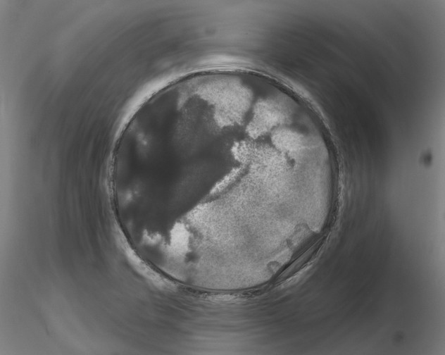 X0000114721421200912021144