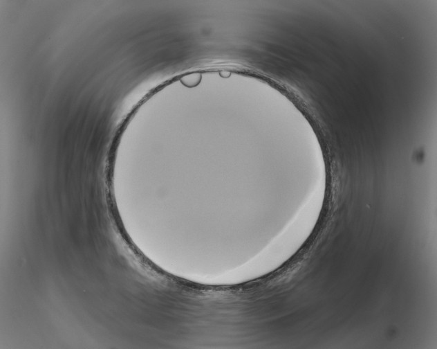 X0000114721422200912021144