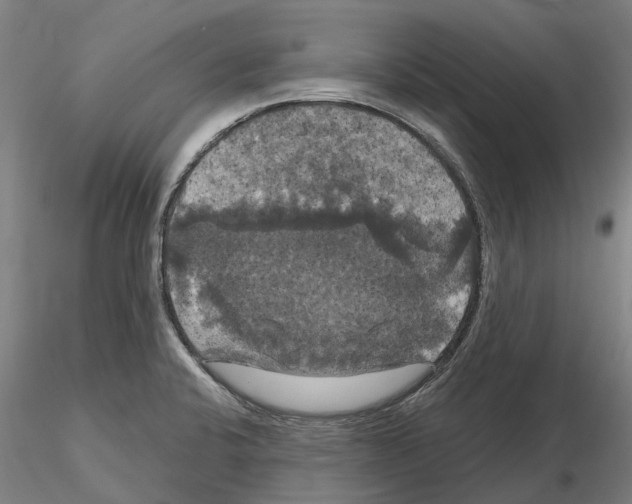 X0000114721424200912021144