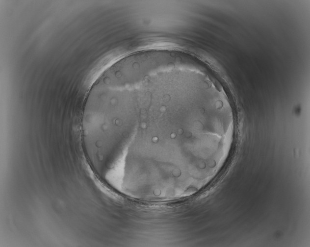 X0000114721425200912021144