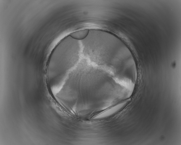 X0000114721427200912021144