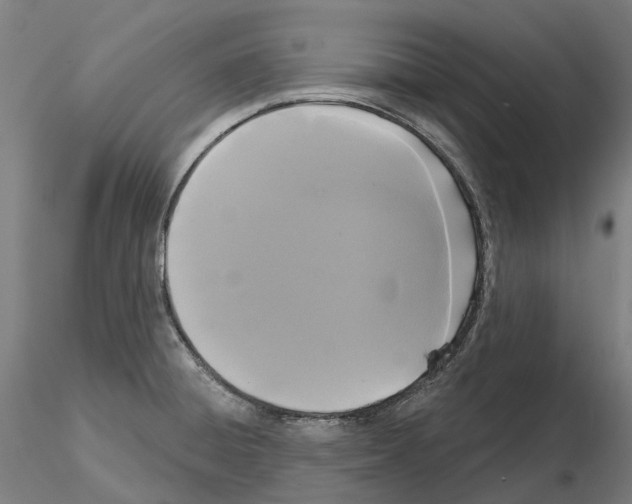 X0000114721428200912021144