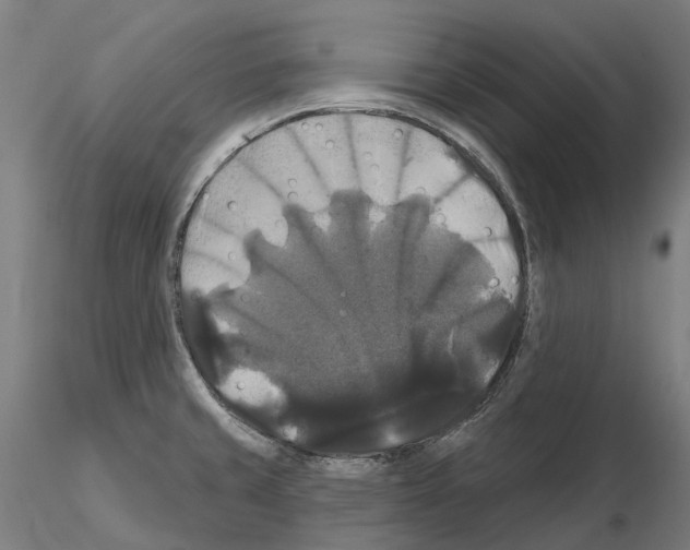 X0000114721429200912021144