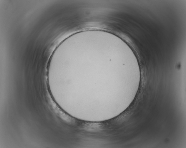 X0000114721431200912021144