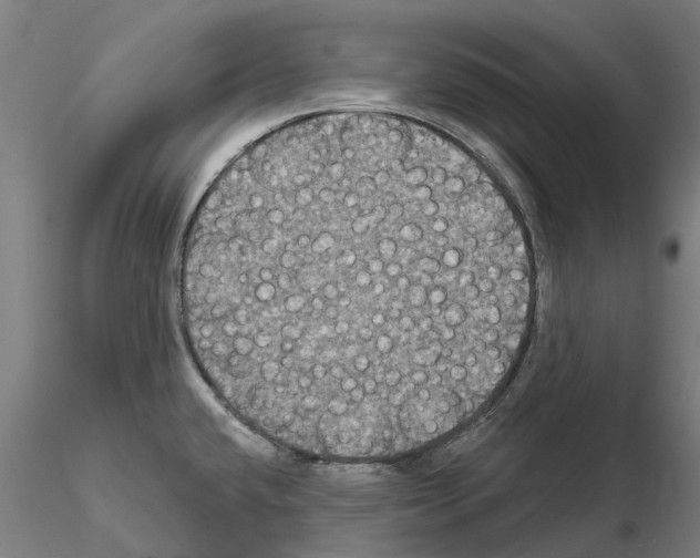 X0000114721432200912021144