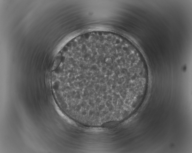 X0000114721433200912021144