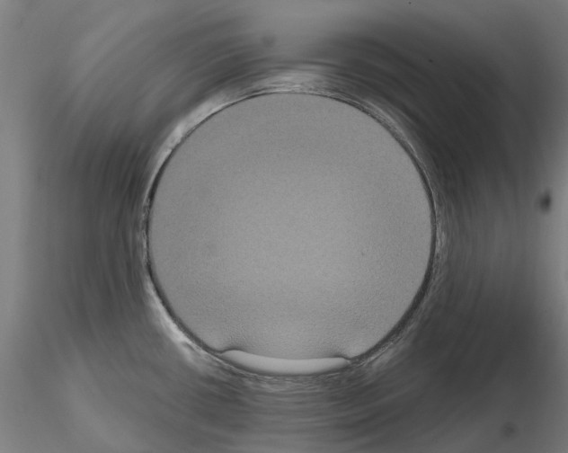 X0000114721434200912021144