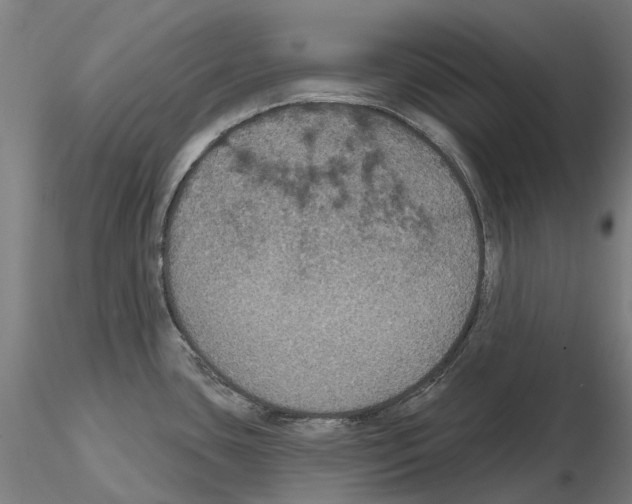 X0000114721435200912021144