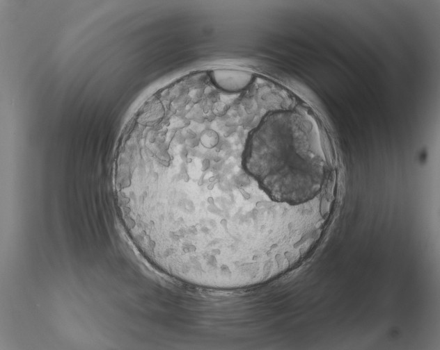 X0000114721436200912021144