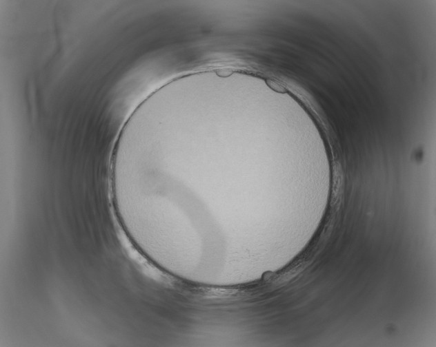 X0000114721439200912021144