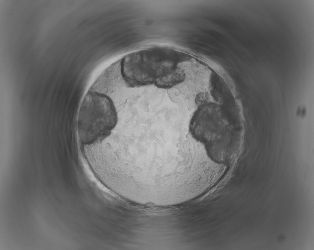 X0000114721440200912021144