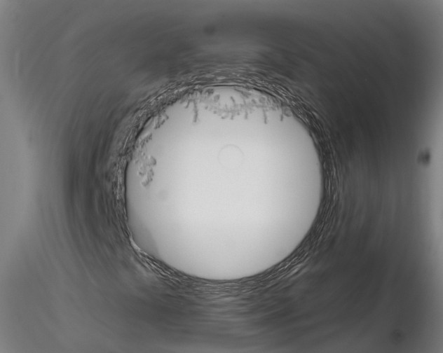 X0000114721441200912021143