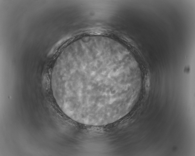 X0000114721446200912021143