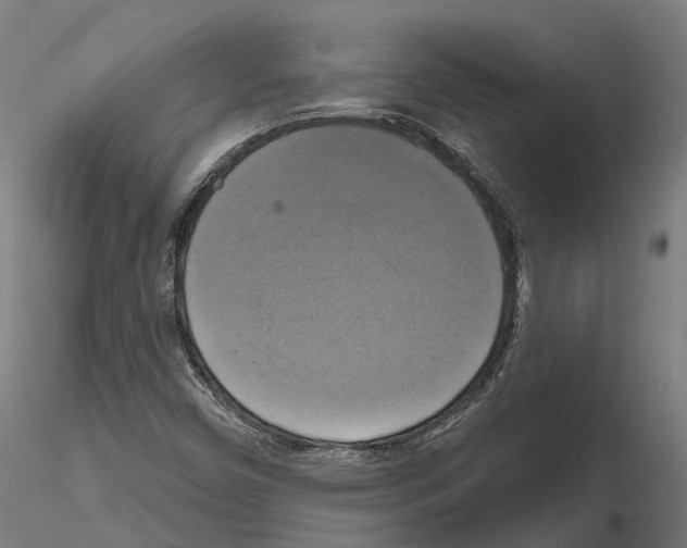 X0000114721450200912021143