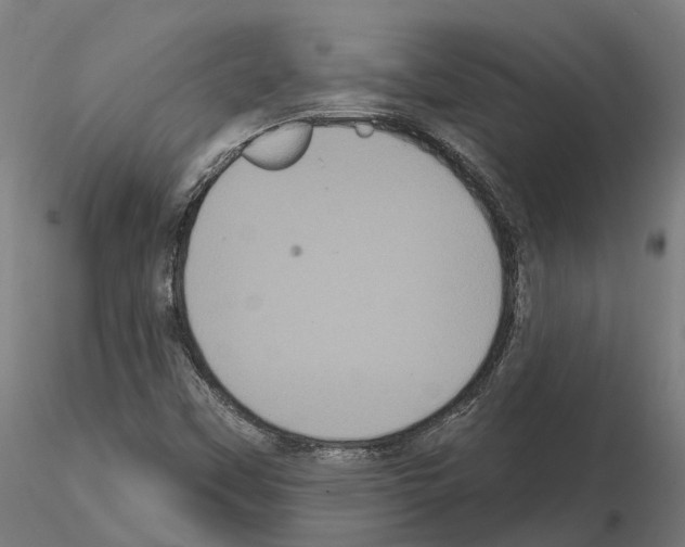 X0000114721451200912021143