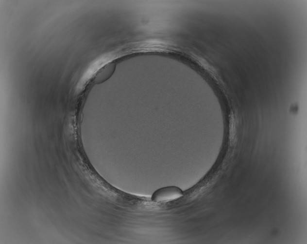 X0000114721453200912021143