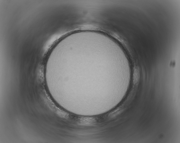 X0000114721454200912021143