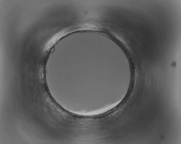 X0000114721455200912021143