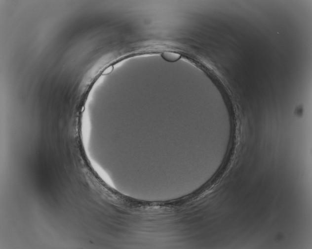 X0000114721459200912021143