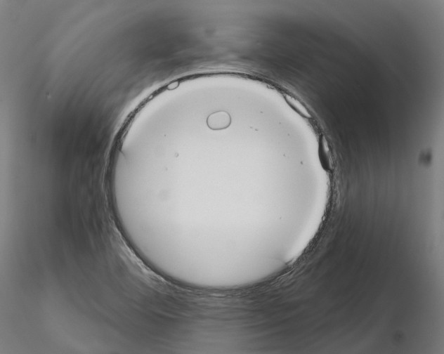 X0000114721460200912021143