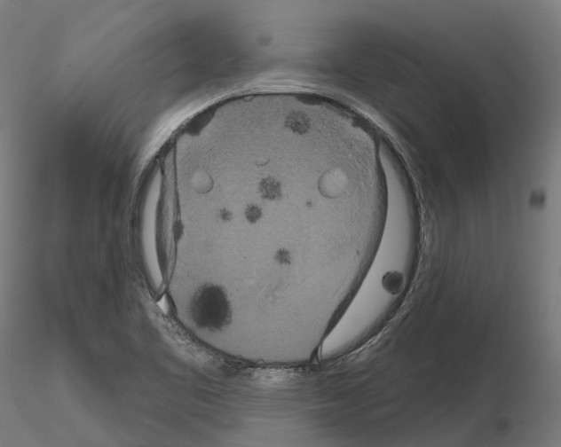 X0000114721461200912021143