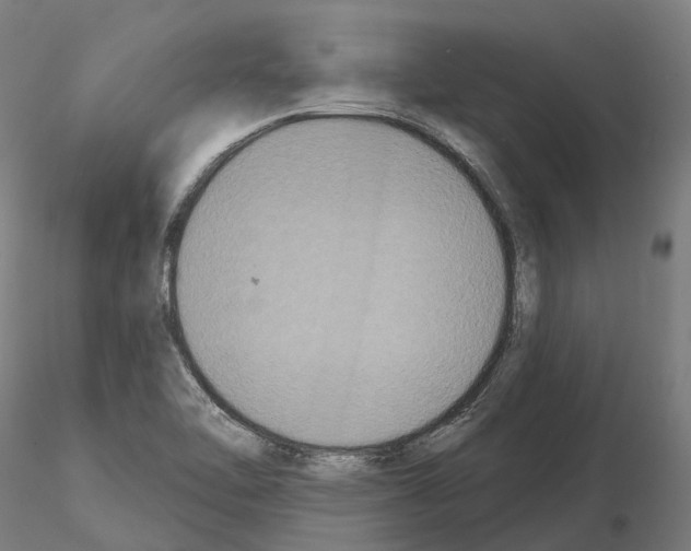 X0000114721462200912021143