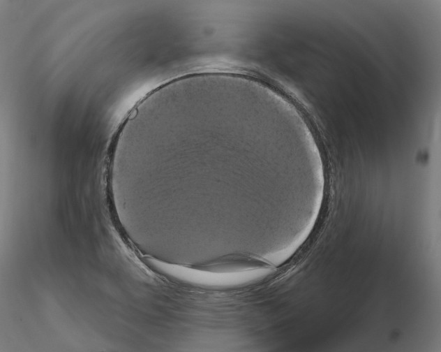 X0000114721463200912021143