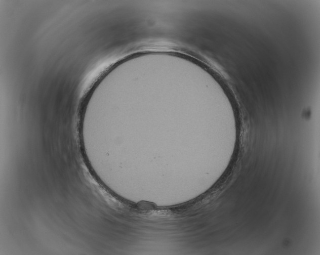 X0000114721464200912021143