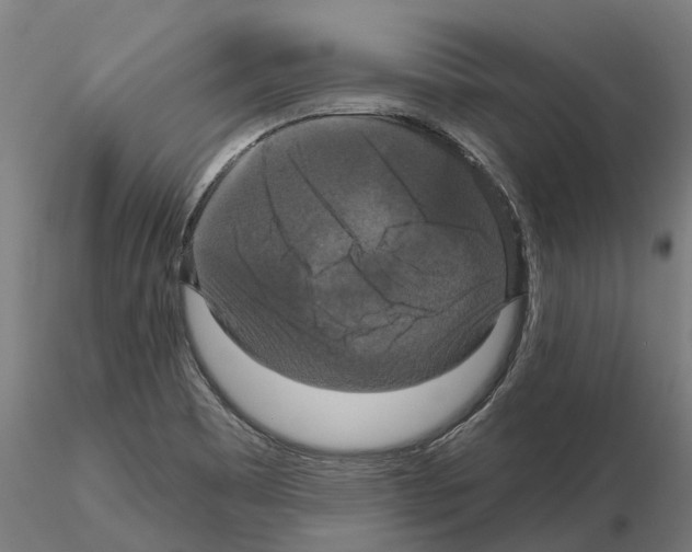 X0000114721465200912021143