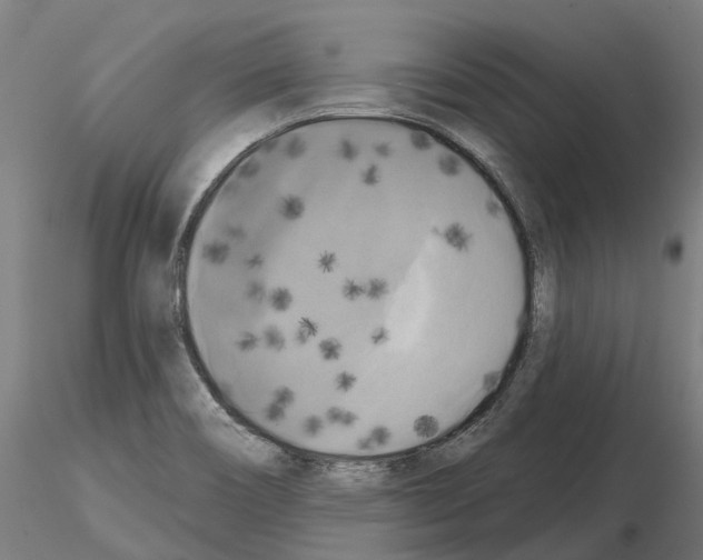 X0000114721466200912021143