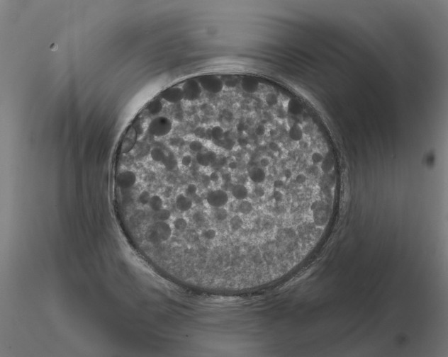 X0000114721467200912021143