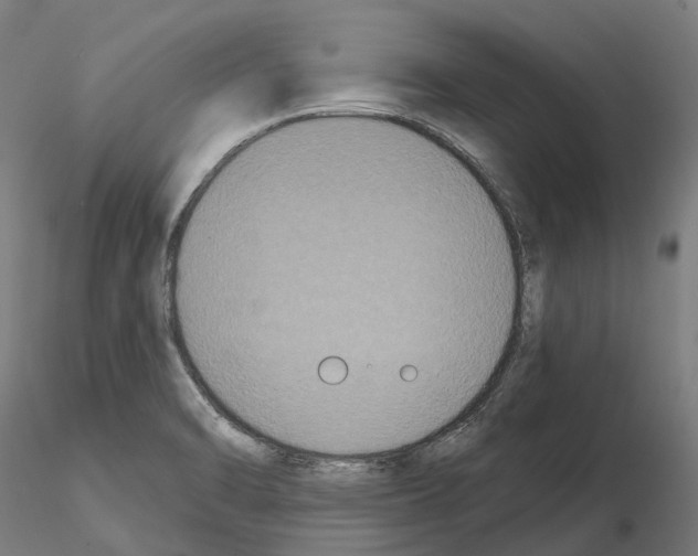 X0000114721470200912021142