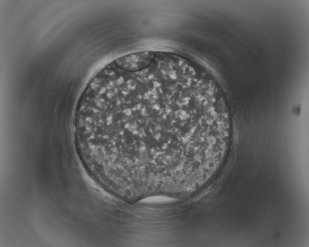 X0000114721471200912021142