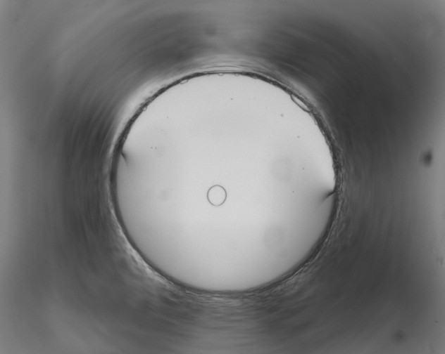 X0000114721472200912021142