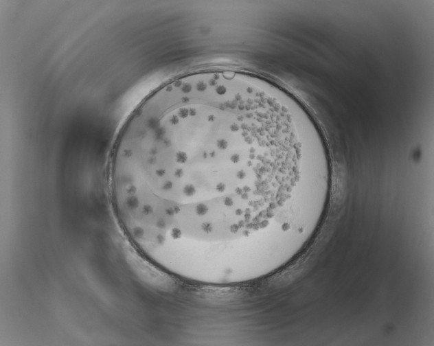 X0000114721474200912021142